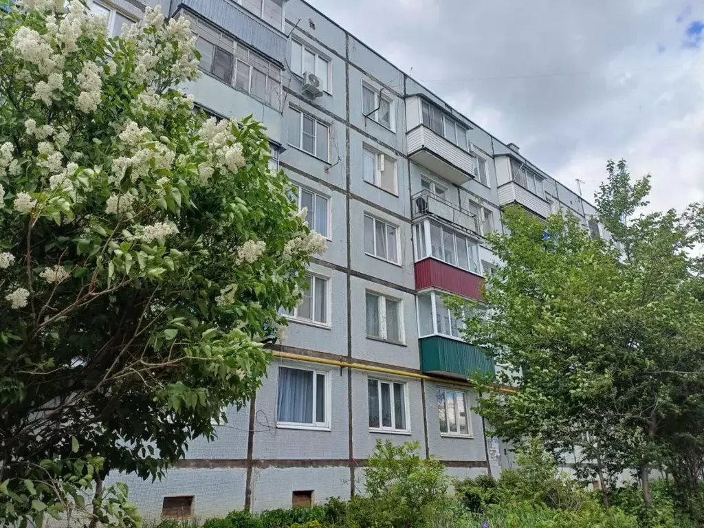 1-к кв. Тамбовская область, Тамбов ул. Новикова-Прибоя, 38 (32.0 м) - Фото 0