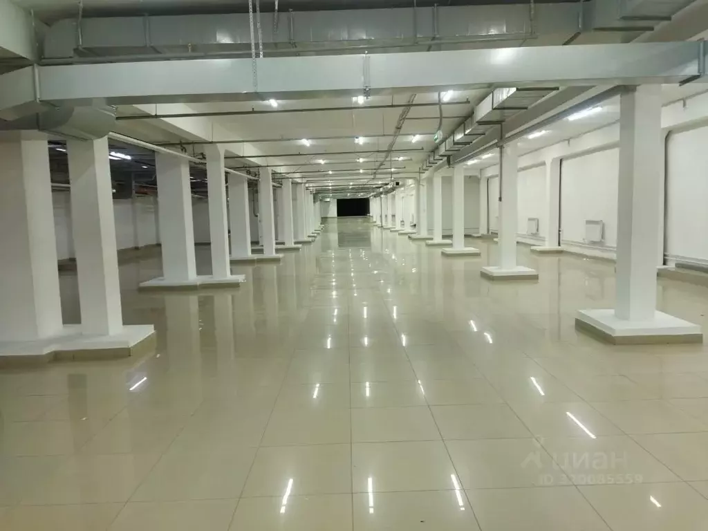 Помещение свободного назначения в Чувашия, Чебоксары ул. П.В. ... - Фото 1