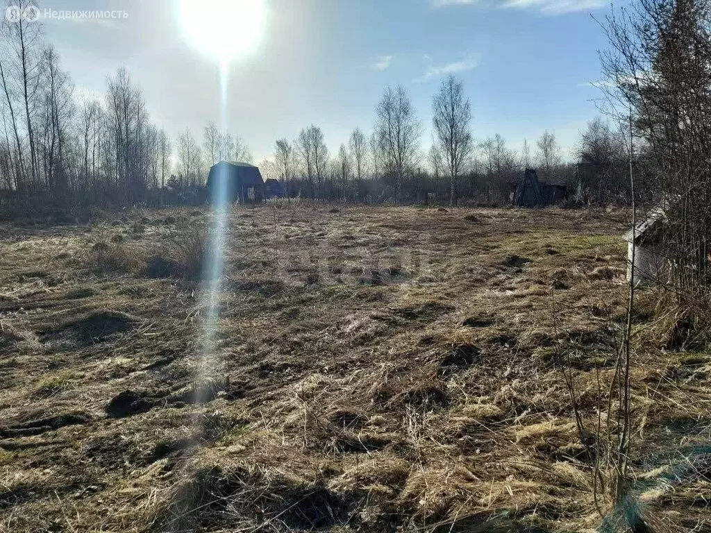 Участок в Тверская область, Калининский муниципальный округ, СТ ... - Фото 2