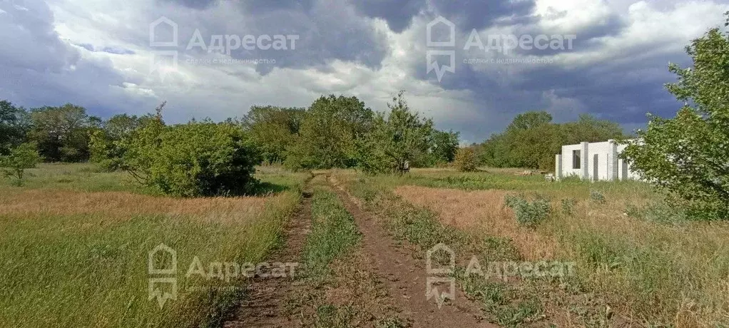 Участок в Волгоградская область, Краснослободск Среднеахтубинский ... - Фото 1