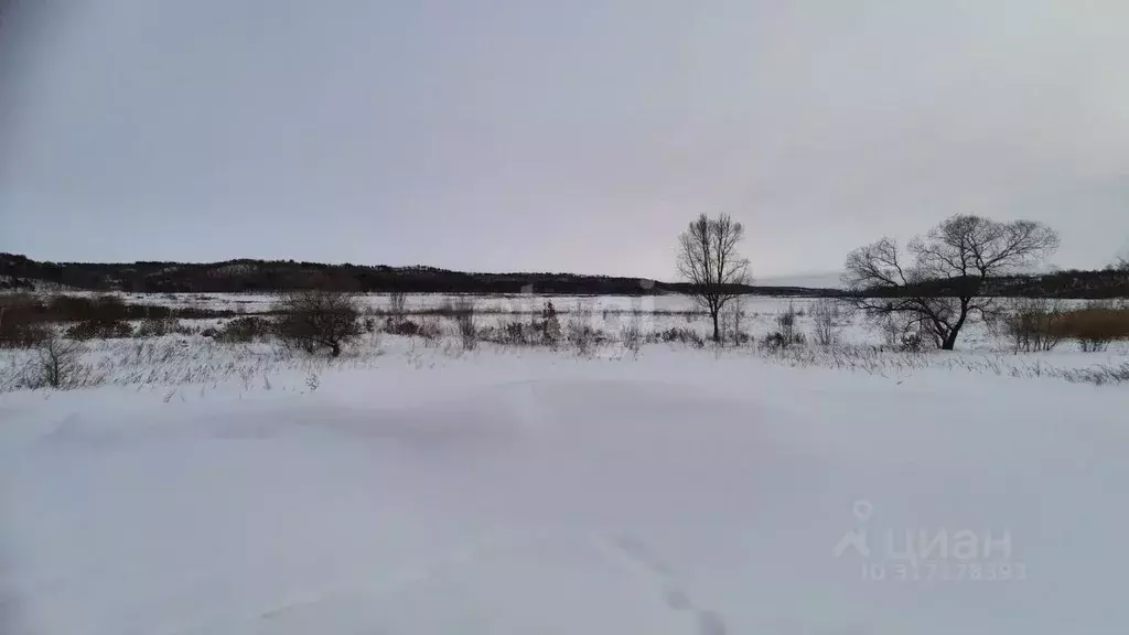 Участок в Амурская область, Благовещенский район, с. Кантон-Коммуна  ... - Фото 1