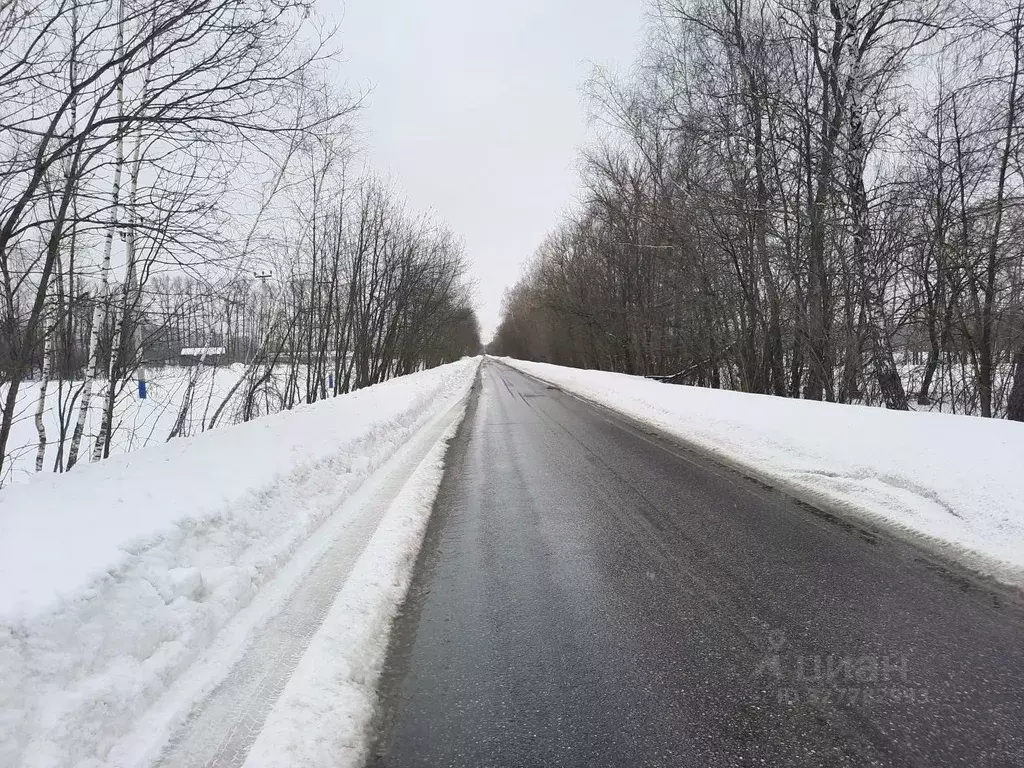 Участок в Московская область, Раменский муниципальный округ, с. ... - Фото 1