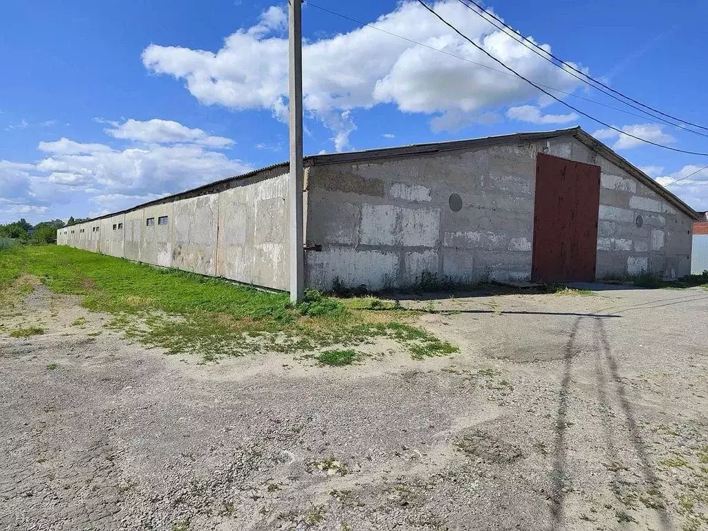 Склад в Ростовская область, Ростов-на-Дону Совхозная ул., 2литА (13455 ... - Фото 2