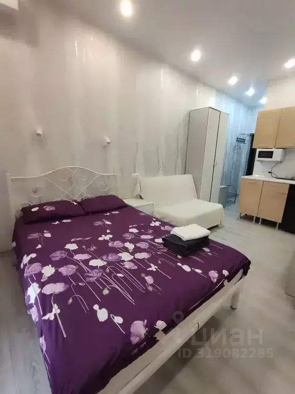Студия Краснодарский край, Сочи ул. Ленина, 290/7к2 (25.0 м) - Фото 0