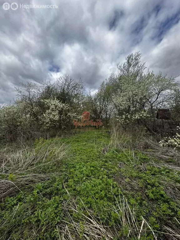 Участок в Сергиево-Посадский городской округ, деревня Слободка (25 м) - Фото 0