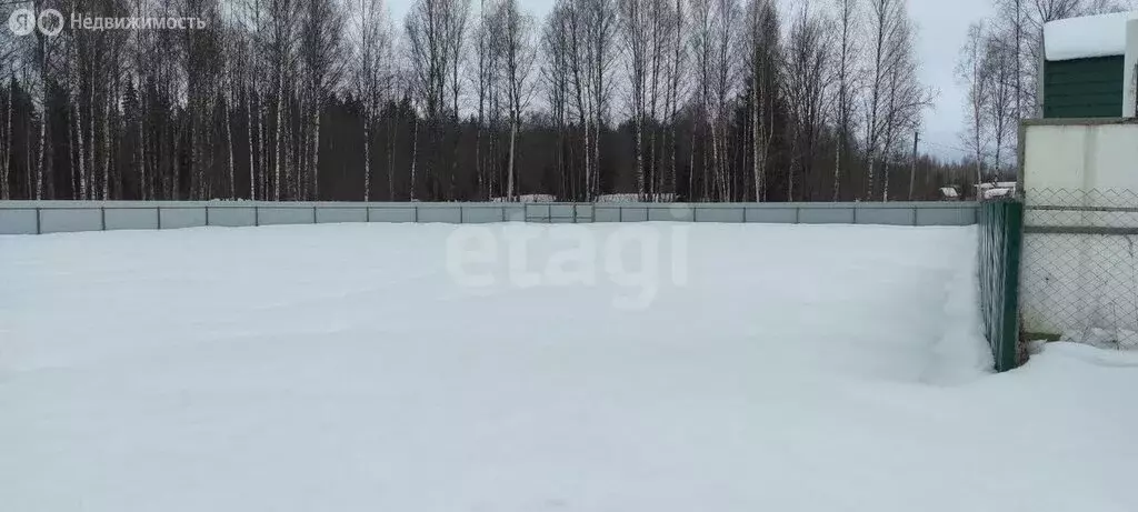 Участок в Ярославский муниципальный округ, СНТ Родничок (15 м) - Фото 2