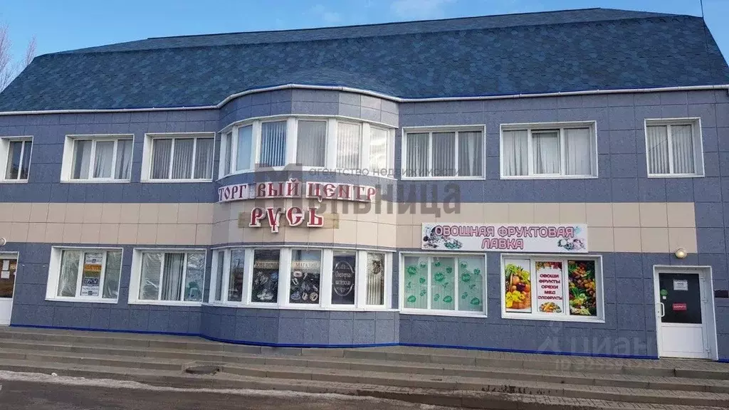 Торговая площадь в Волгоградская область, Иловля рп ул. Буденного, 47Б ... - Фото 1