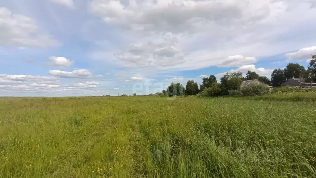 Участок в Архангельская область, Холмогорский муниципальный округ, д. ... - Фото 0