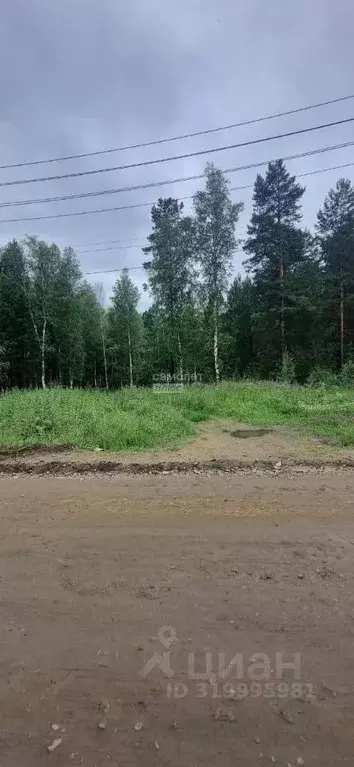 Участок в Иркутская область, Иркутский муниципальный округ, Маркова рп ... - Фото 1