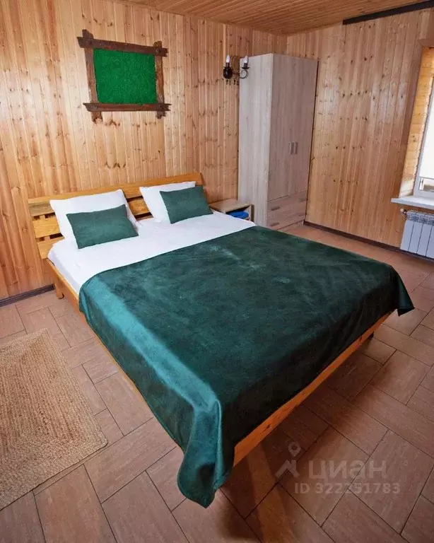 Дом в Воронежская область, с. Новая Усмань  (46 м) - Фото 1