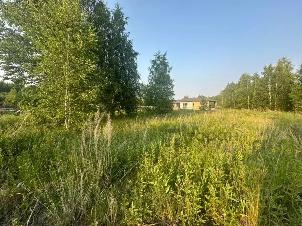 Участок в Челябинская область, Сосновский муниципальный округ, с. ... - Фото 2