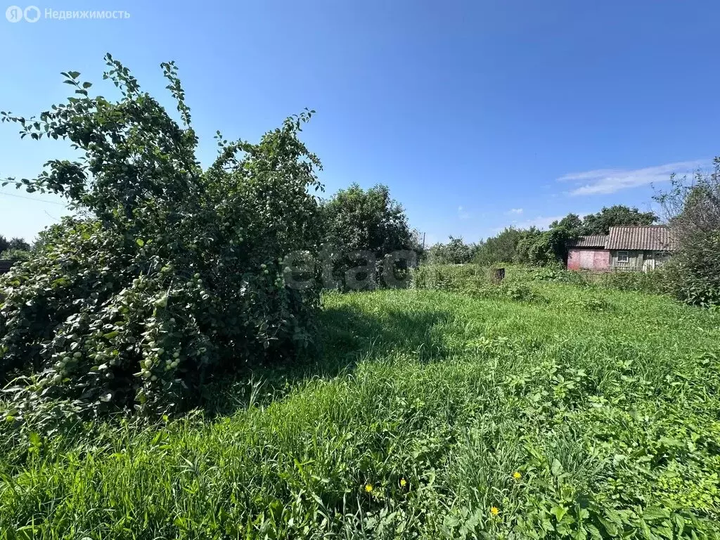 Участок в Чебаркуль, СНТ Учительский (6.61 м) - Фото 2