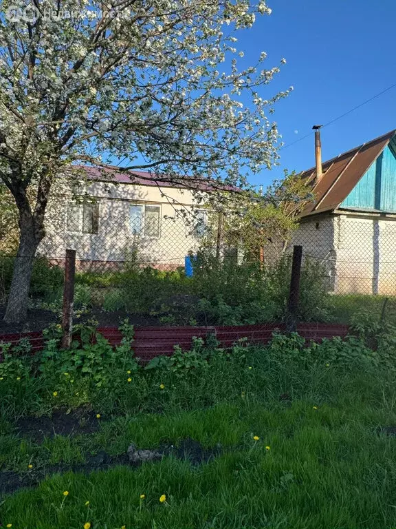 2-комнатная квартира: Толбазы, Лесная улица, 7 (52.1 м) - Фото 0