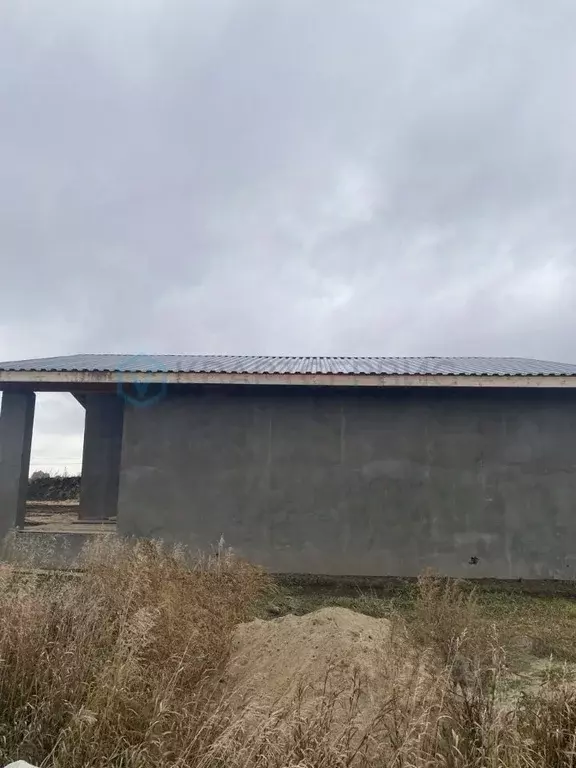 Дом в Омская область, Омский район, с. Дружино, Микрорайон ... - Фото 1