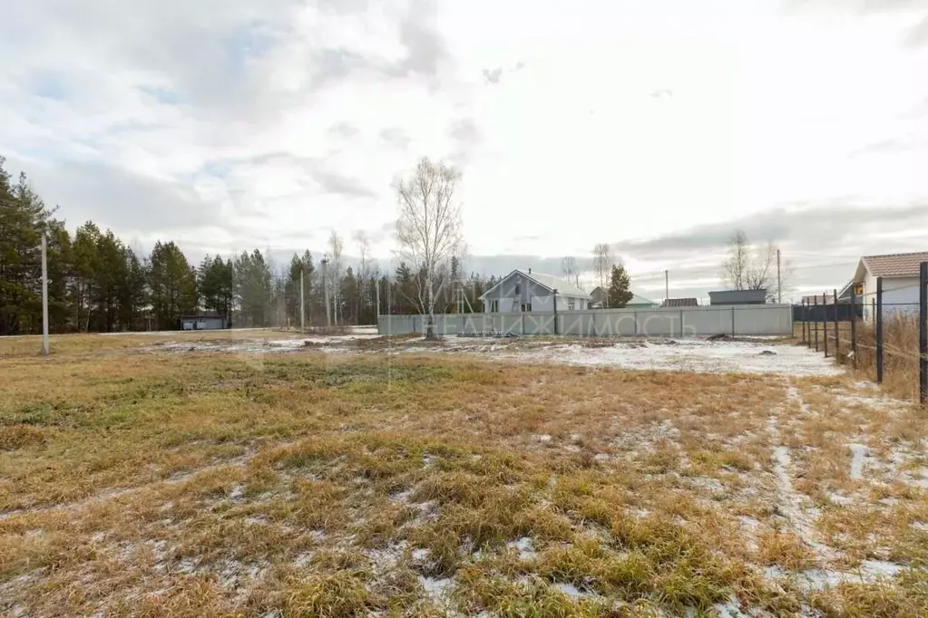 Участок в Тюменская область, Нижнетавдинский муниципальный округ, с. ... - Фото 2