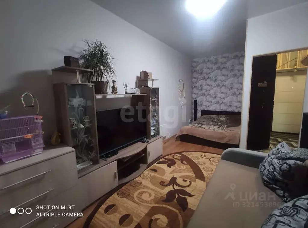 1-к кв. Краснодарский край, Анапа Солнечная ул., 54 (35.0 м) - Фото 2