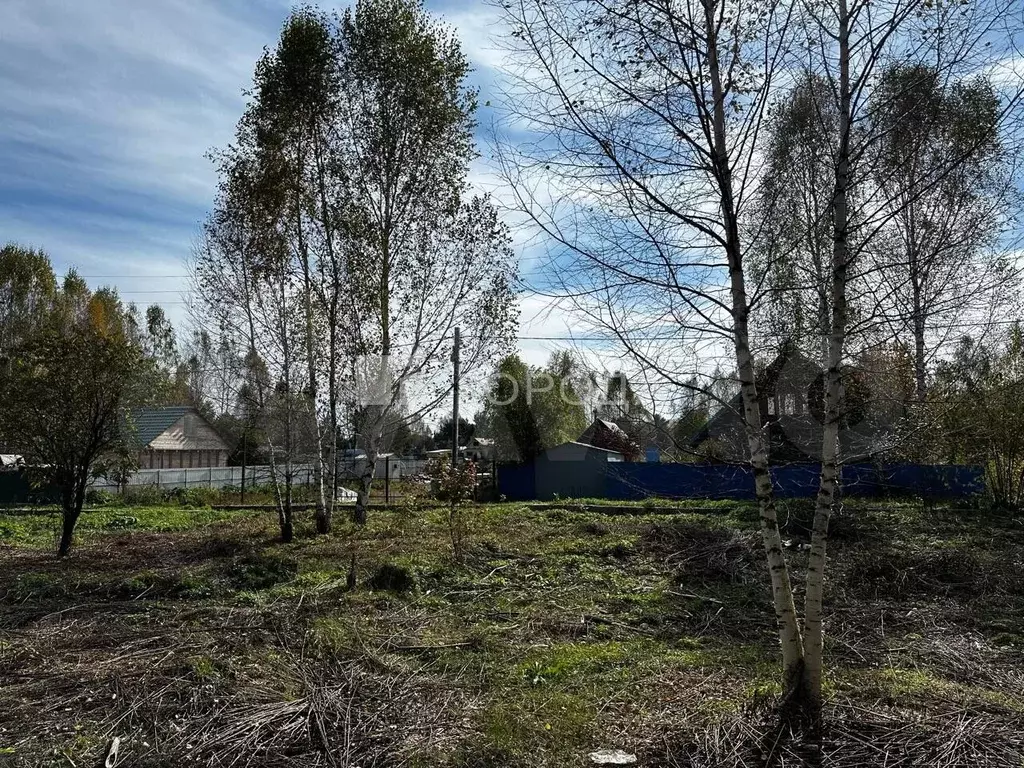 Участок 15 сот. (СНТ, ДНП) - Фото 1