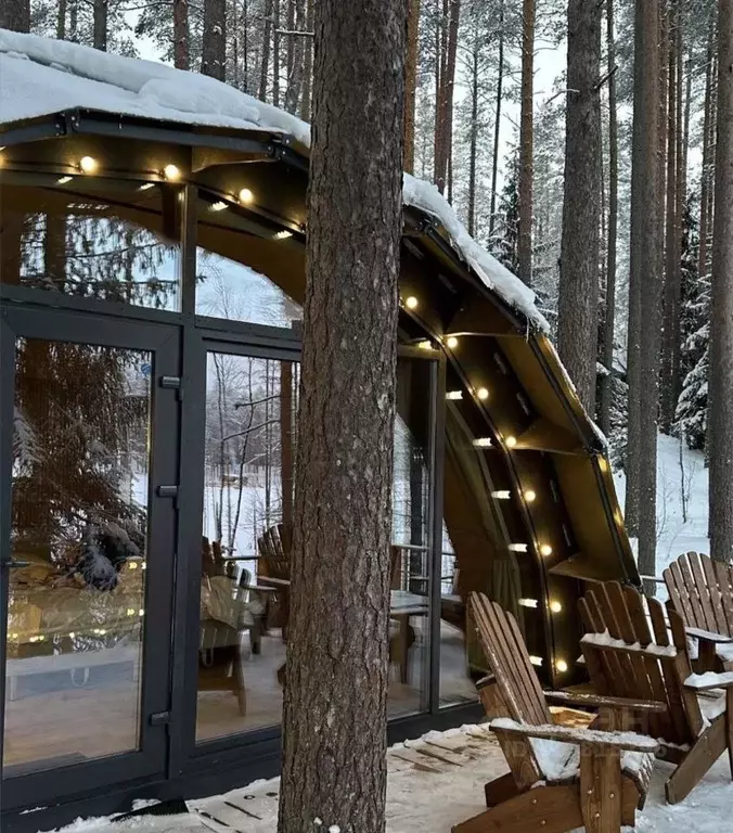 Дом в Ленинградская область, Выборгский район, Рощино пгт  (42 м) - Фото 0