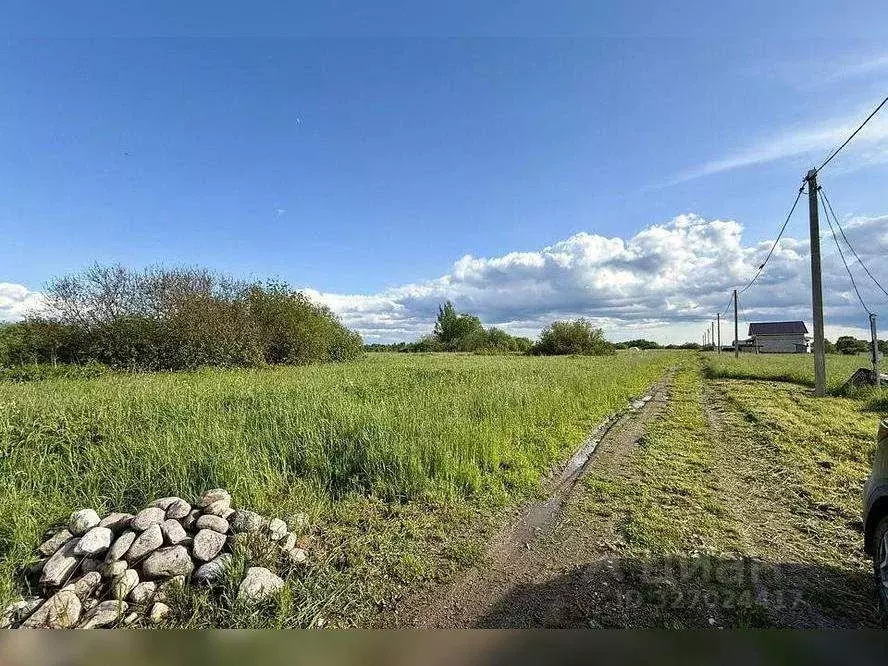 Участок в Новгородская область, Чудовский район М-10 Россия, 553-й км ... - Фото 1