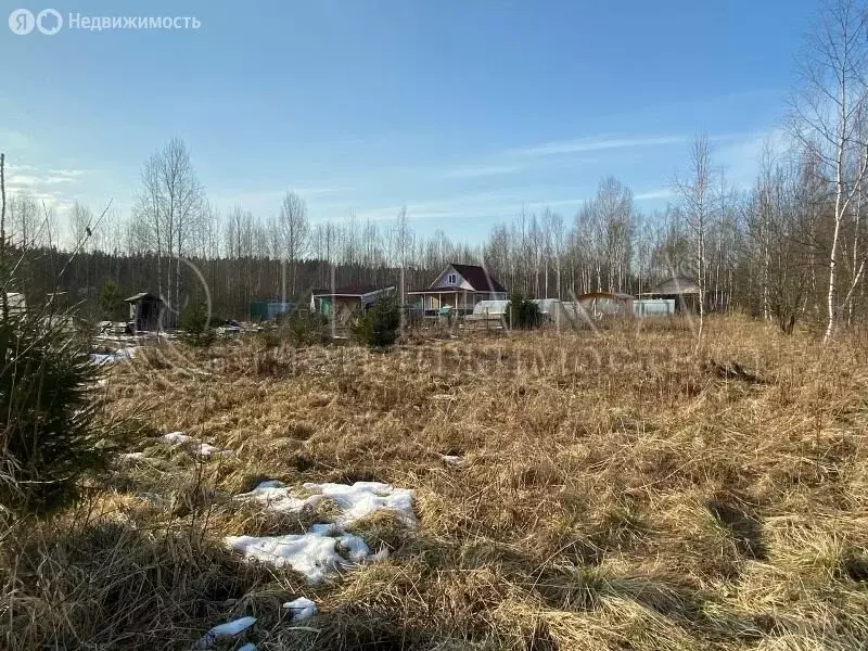 Участок в Выборгский район, городской посёлок Советский (7.25 м) - Фото 1