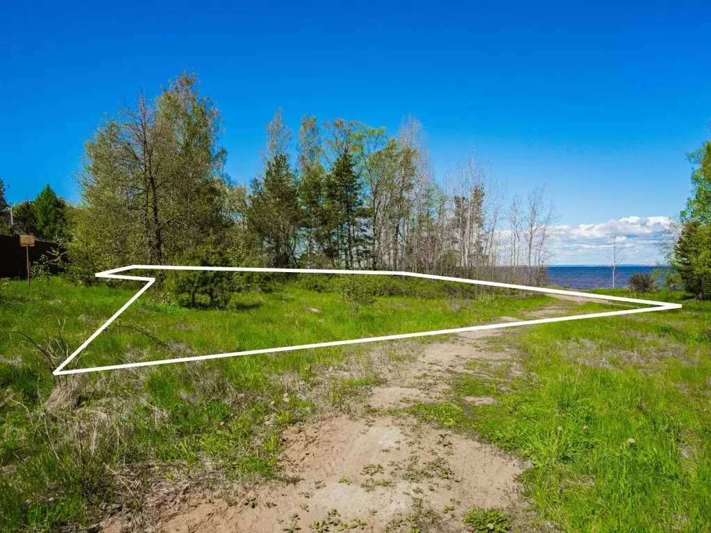 Участок в Ленинградская область, Ломоносовский район, Лебяженское ... - Фото 1