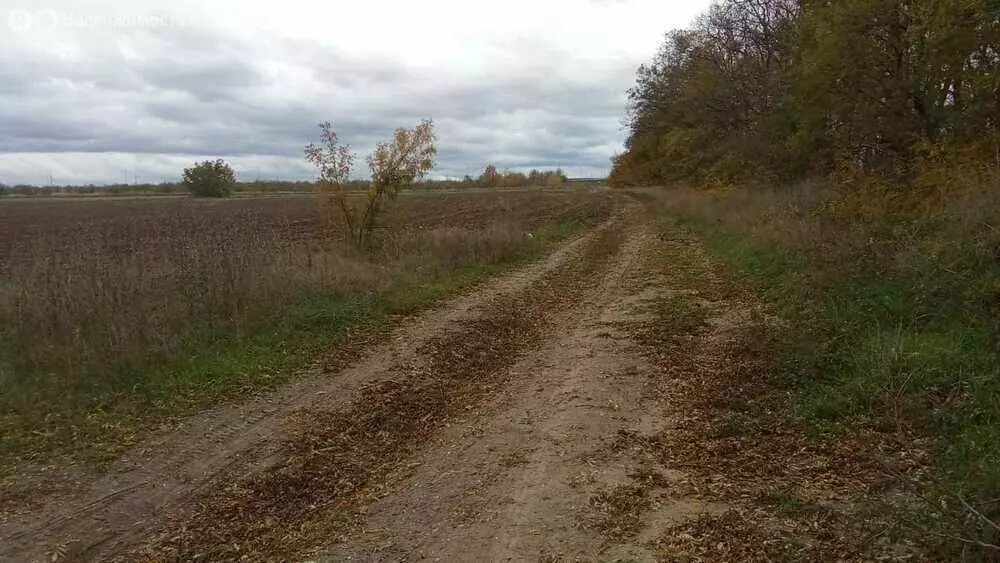 Участок в Краснодарский край, муниципальный округ Анапа, хутор Нижняя ... - Фото 0