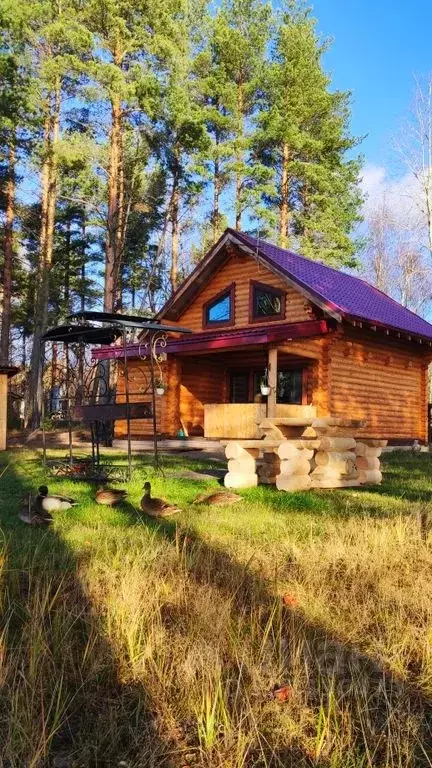 Дом в Карелия, Прионежский район, Шуйское с/пос, д. Шуйская Чупа, ... - Фото 1