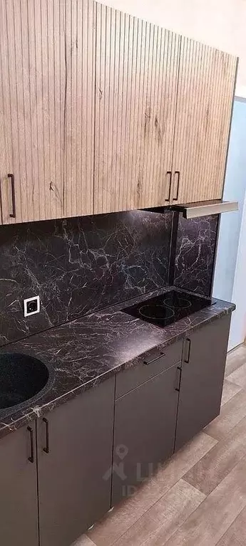 1-к кв. Новосибирская область, Новосибирск ул. Гаранина, 31 (27.0 м) - Фото 1