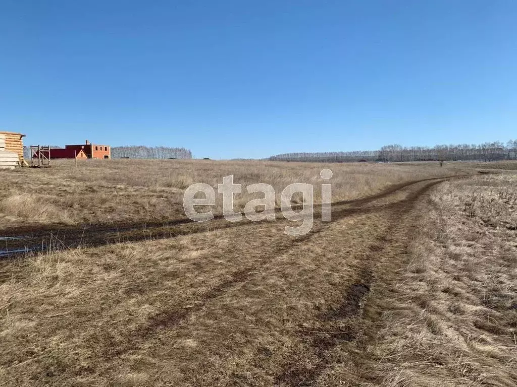 Купить Дачу Снт Левина Омск Поселок Степной