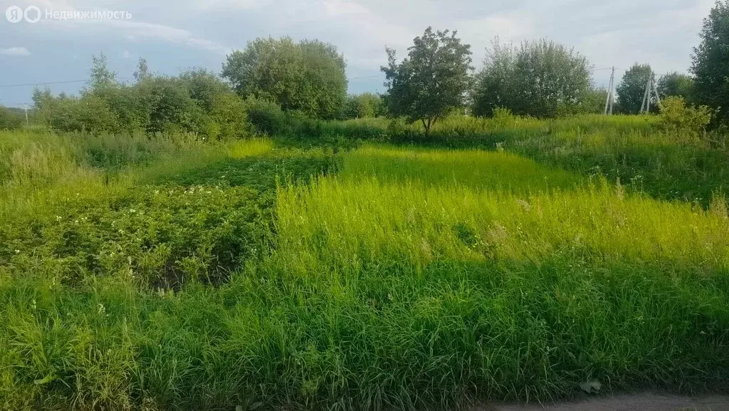 Участок в Добрунское сельское поселение, СДТ Полёт (6 м) - Фото 2