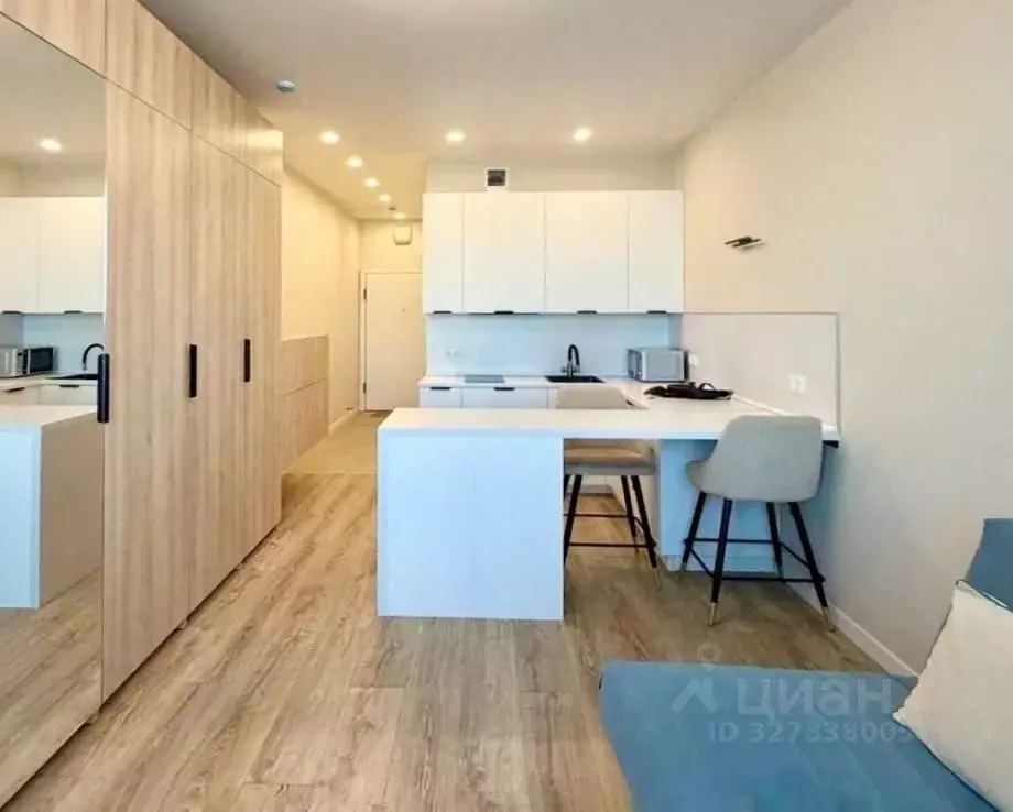 Студия Москва проезд Серебрякова, 11к2 (24.7 м) - Фото 1