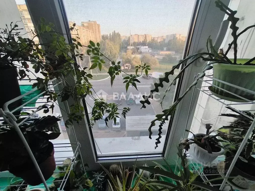 Комната Белгородская область, Белгород ул. Щорса, 28 (13.6 м) - Фото 1