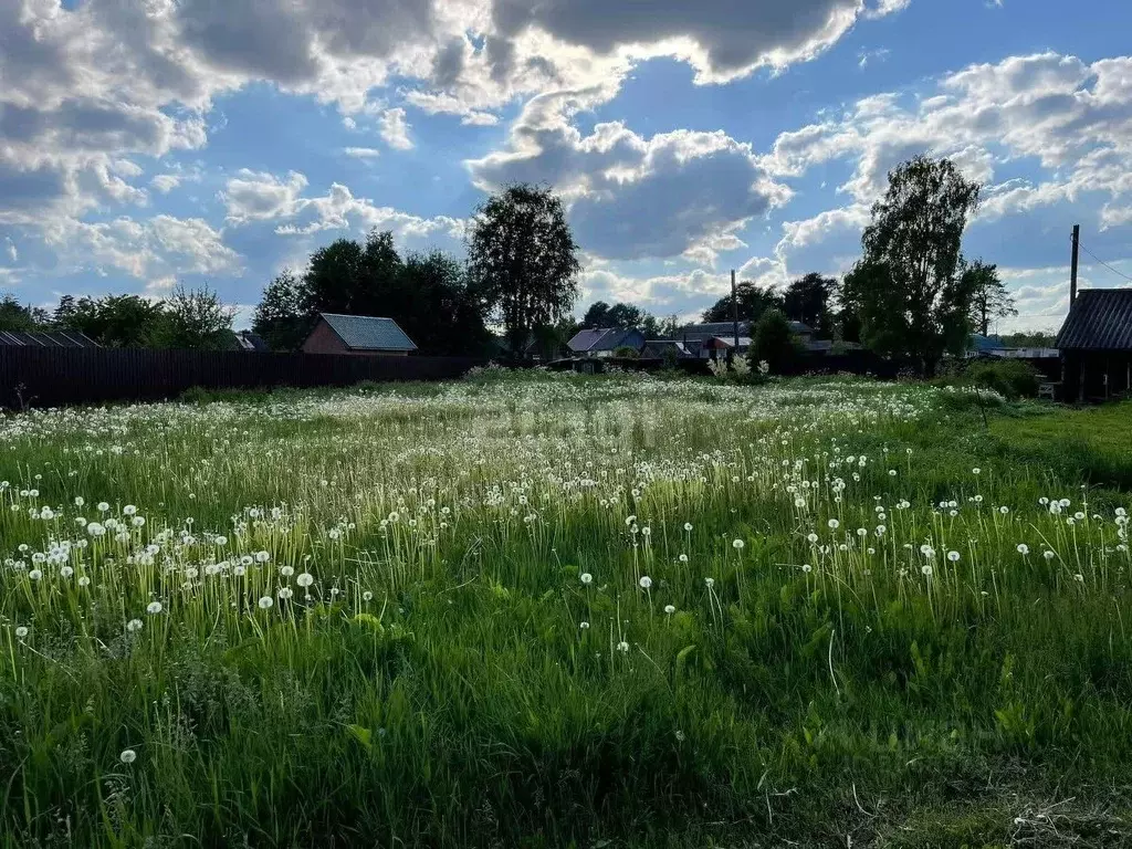 Участок в Карелия, Прионежский район, с. Деревянное Молодежная ул. ... - Фото 1