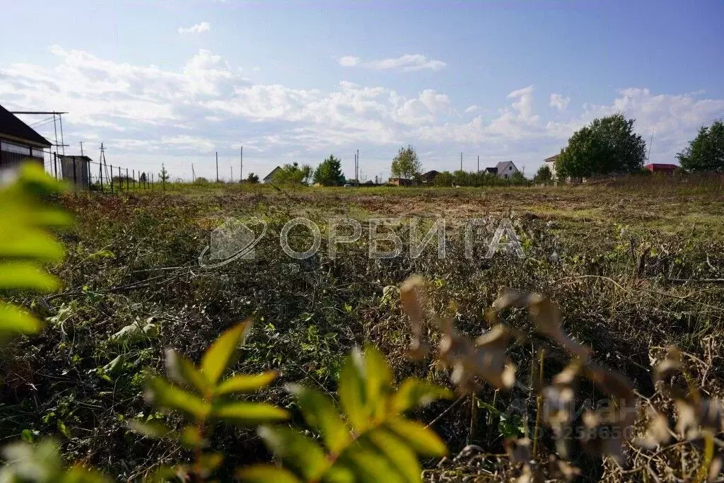 Участок в Тюменская область, Тюменский муниципальный округ, д. Зырянка ... - Фото 2