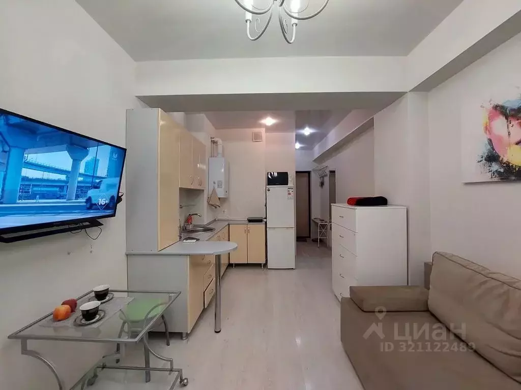 Студия Краснодарский край, Сочи Мамайка мкр, ул. Волжская, 34 (22.0 м) - Фото 1
