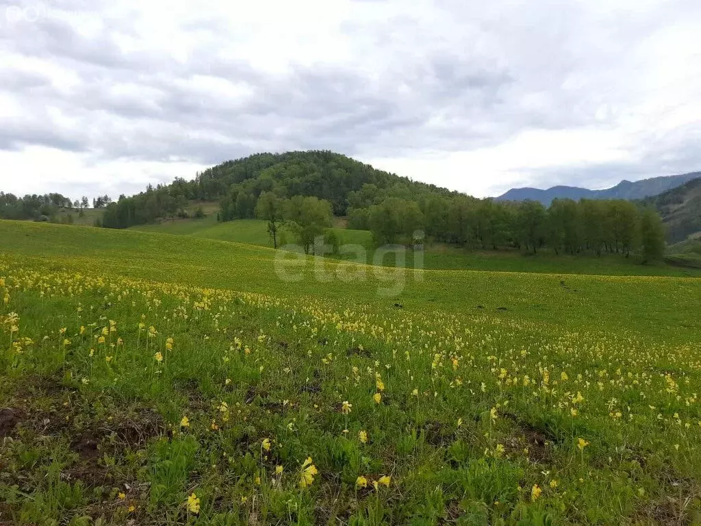 Участок в Шебалинский район, село Мыюта (400 м) - Фото 1