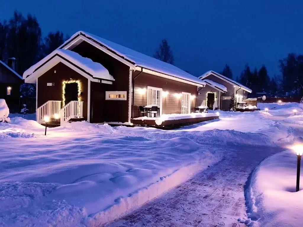 1-к кв. Псковская область, Пушкиногорье городское поселение, д. ... - Фото 2