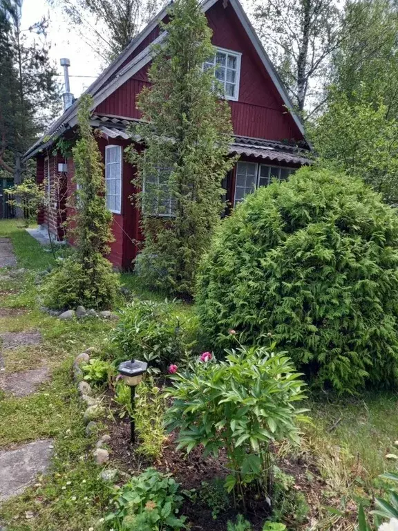 Дом в Ленинградская область, Выборгский район, Рощинское городское ... - Фото 0