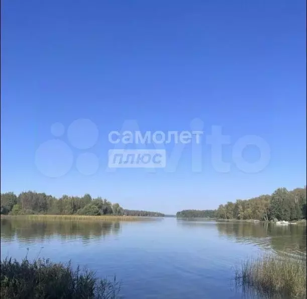 Участок 47 сот. (СНТ, ДНП) - Фото 0
