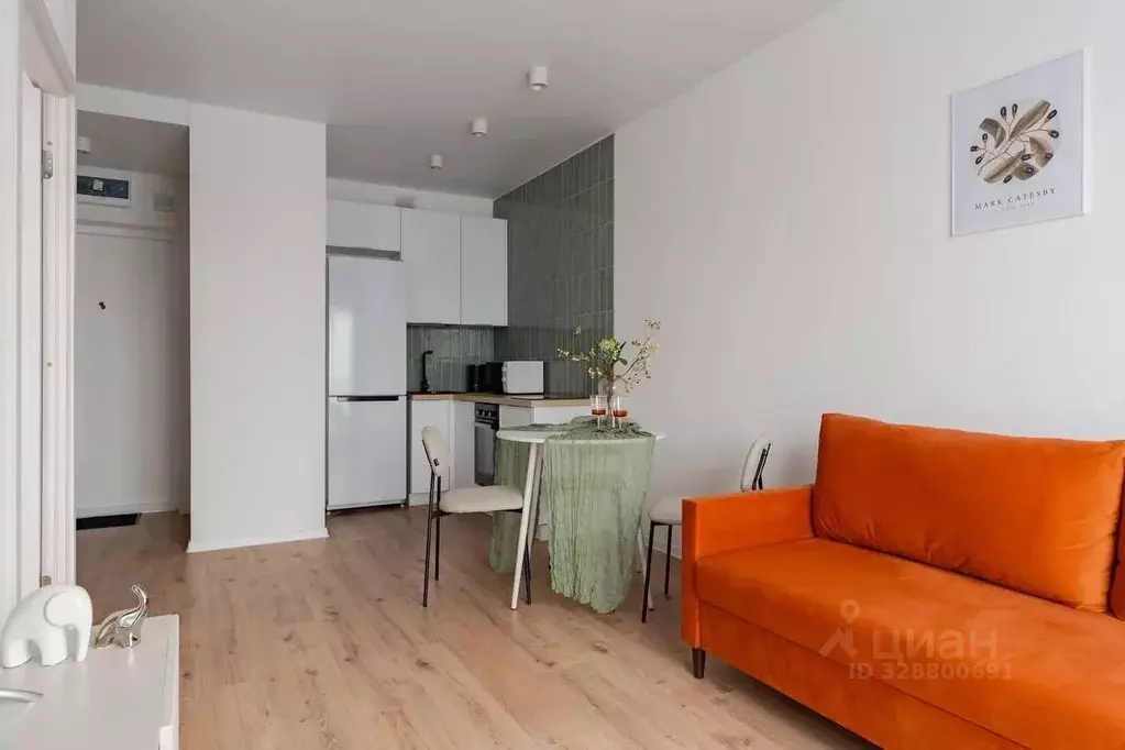 1-к кв. Ленинградская область, Всеволожский район, д. Новое Девяткино ... - Фото 2