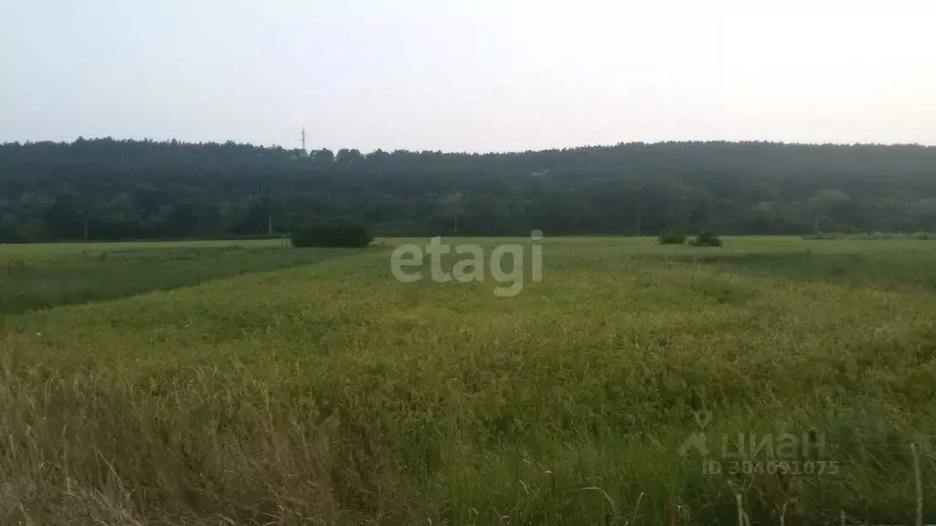 Участок в Крым, Симферопольский район, с. Донское ул. 60 лет СССР ... - Фото 1