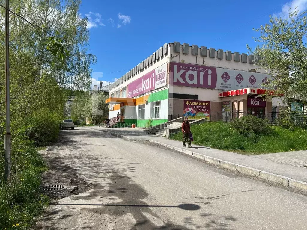 Помещение свободного назначения в Челябинская область, Трехгорный ... - Фото 1