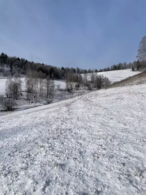 Участок 5 га (СНТ, ДНП) - Фото 0