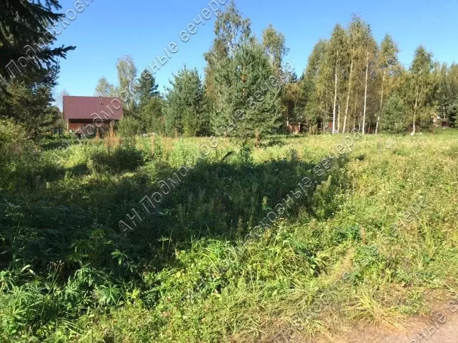Участок в Московская область, Дмитровский муниципальный округ, Исаково ... - Фото 2