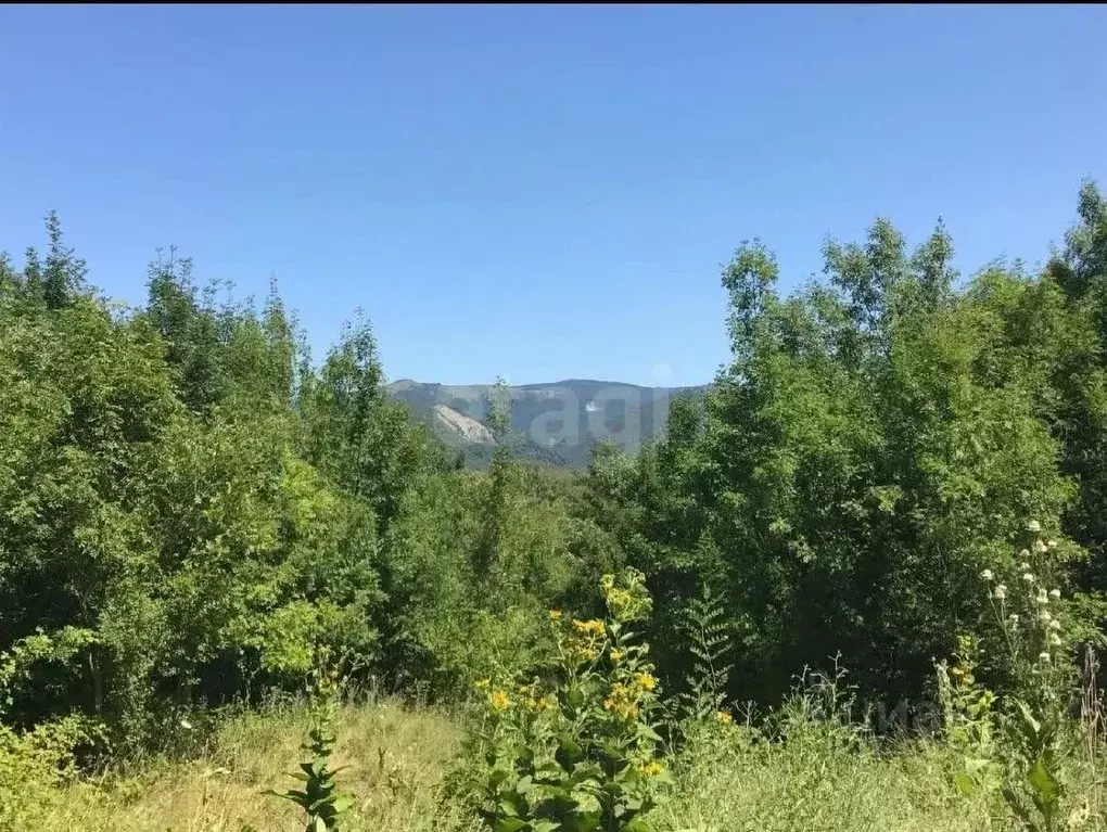 Участок в Краснодарский край, Геленджик городской округ, с. ... - Фото 1