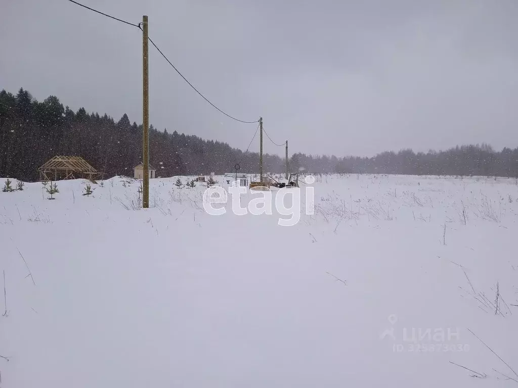 Участок в Вологодская область, Грязовецкий муниципальный округ, ... - Фото 2