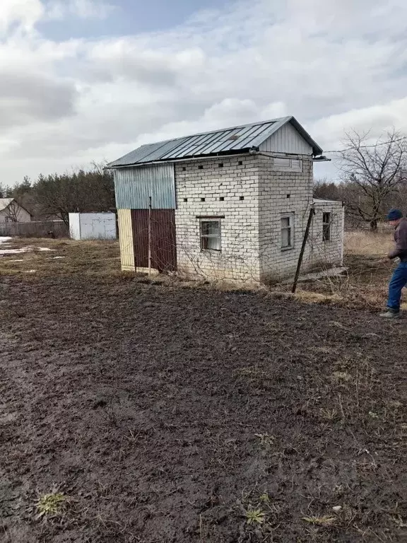 Дом в Белгородская область, Яковлевский муниципальный округ, с. Шопино ... - Фото 2
