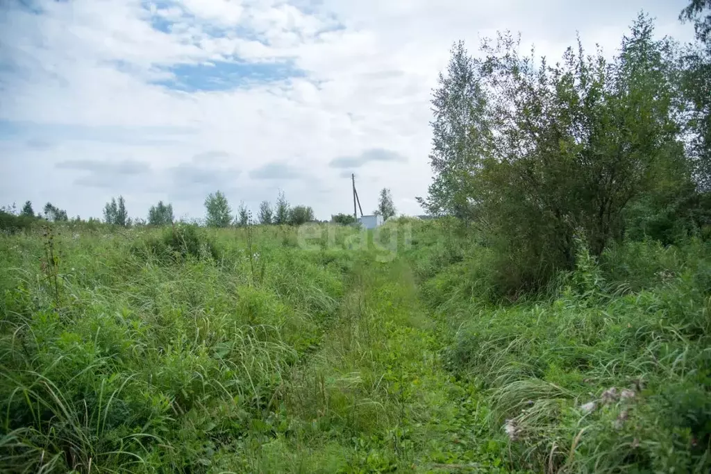 Участок в Новосибирская область, Искитим Зеленый Бор садовое ... - Фото 1