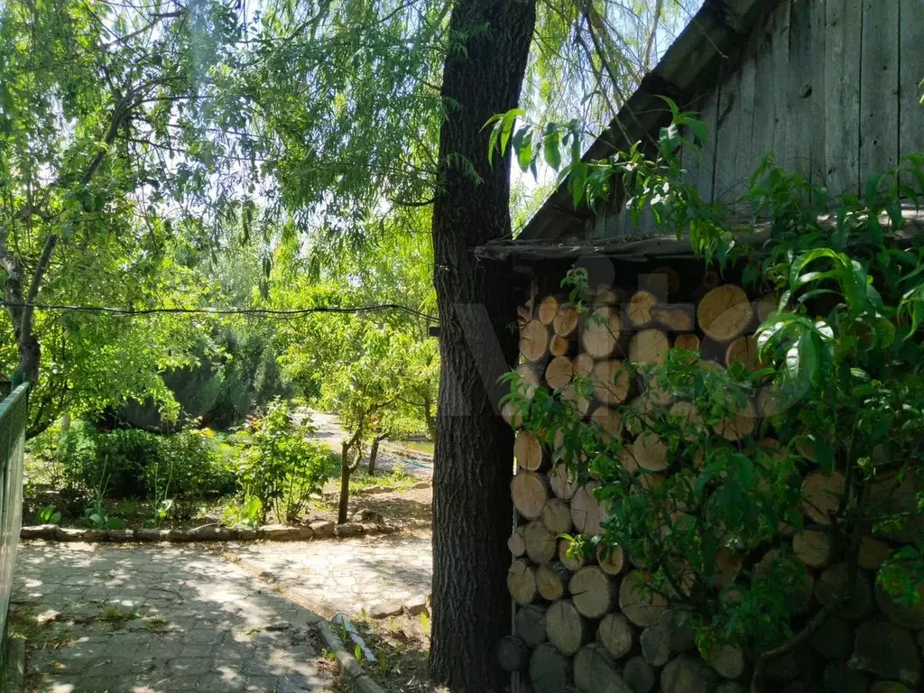 Дача 130,8 м на участке 35 сот. - Фото 1