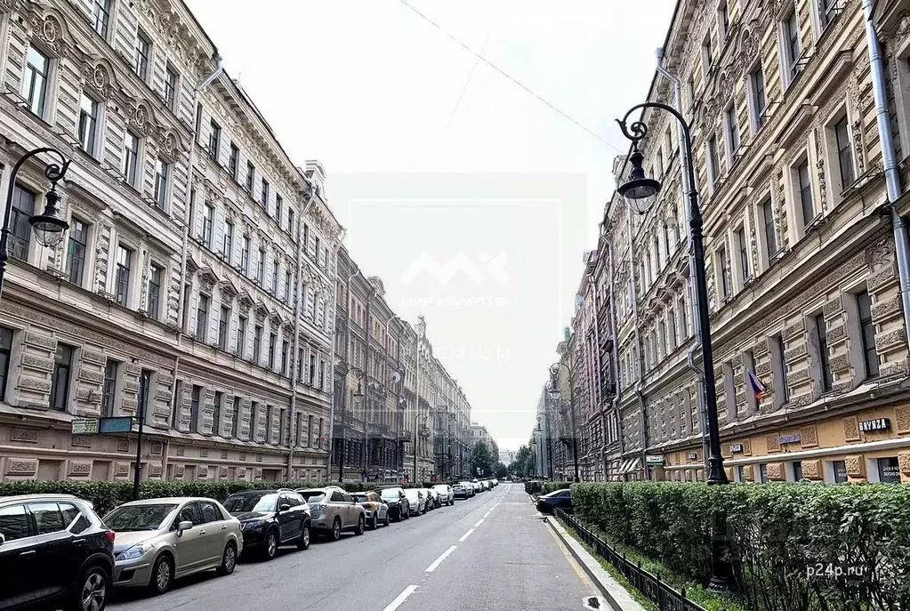 Помещение свободного назначения в Санкт-Петербург Пушкинская ул., 18 ... - Фото 1
